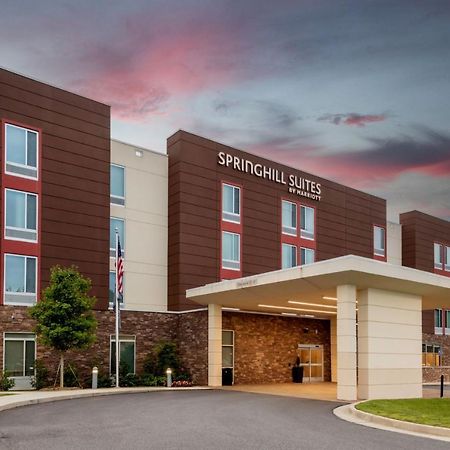 Springhill Suites Atlanta Alpharetta/Roswell Bagian luar foto